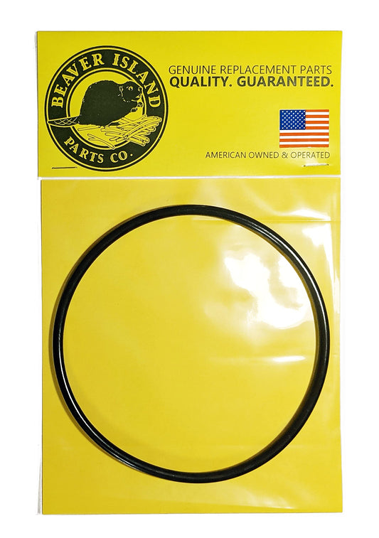 Bestway Flowclear Leaking? The O-Rings That Fix Above-Ground Filters