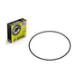 Beaver Island 2015170 Fits Wilo O-Ring - Buna-N Nitrile (70A) Direct-Fit Replacement Sealing Ring, Precision-Molded
