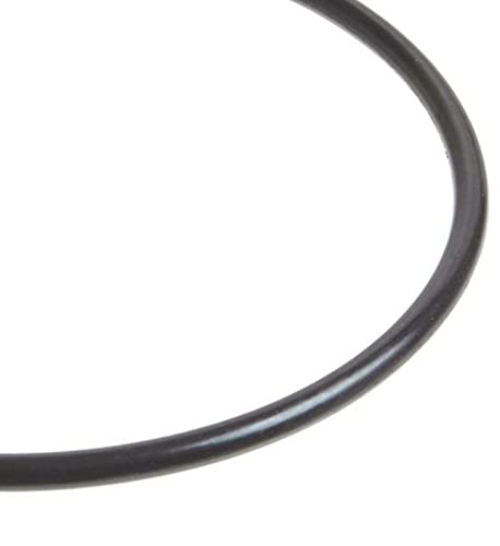 Replacement for Hayward SPX3000SV Chlorine Bromine Feeder Cover FKM O-Ring