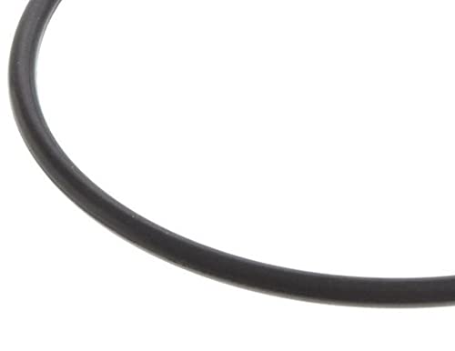 Replacement for Hayward SPX3000SV Chlorine Bromine Feeder Cover FKM O-Ring