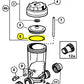 Replacement for Hayward CLX200K Chlorinator FKM O-Ring for CL200 CL220 Lid Gasket
