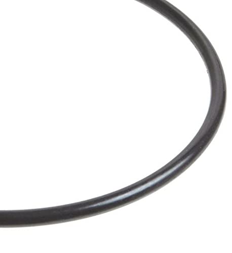 Replacement for Hayward CX900F StarClear Plus Filter Head O-Ring